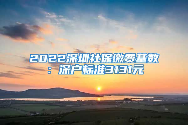 2022深圳社保繳費基數：深戶標準3131元