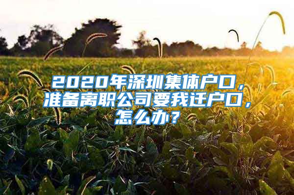 2020年深圳集體戶口，準備離職公司要我遷戶口，怎么辦？